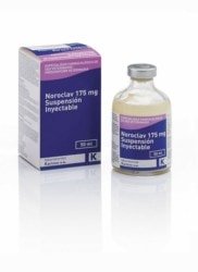 NOROCLAV INJECTABLE 50ML | INJECTABLE ANTIBIOTIC FOR DOGS - GosVet