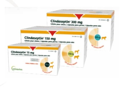 Clindaseptin Para el tratamiento de heridas infectadas