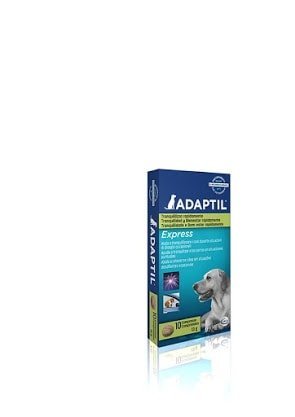 ADAPTIL ORAL EXPRESS