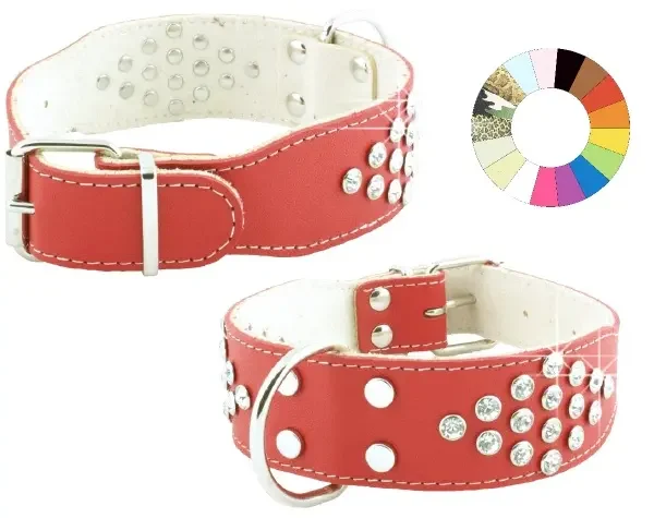 Collar Ajustable para Bulldog Azul Fantasía 35-44 cm - Resistente y Elegante