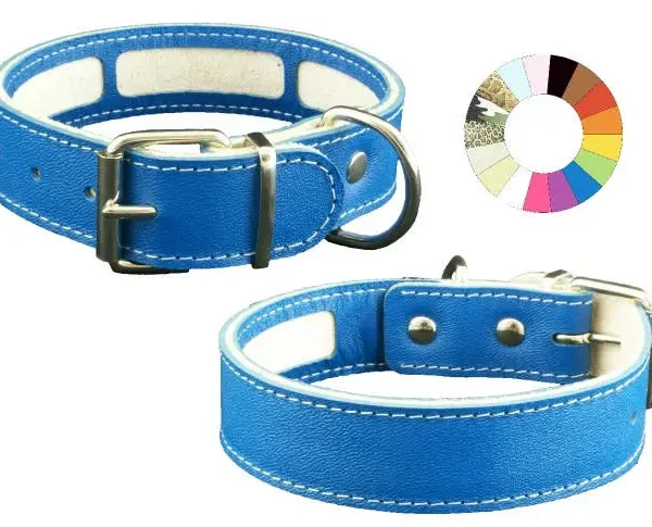 Collar Carrier MIMT 67-75 L750 A30: Innovación y Comodidad para tu Mascota