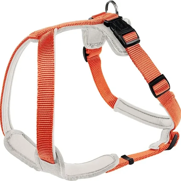 Arnés de Nylon y Neopreno para Mascotas Talla S - Comodidad y Seguridad