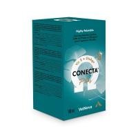 CONECTA PLUS