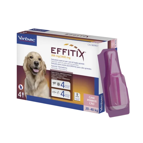 EFFITIX 4 P L 20-40KG