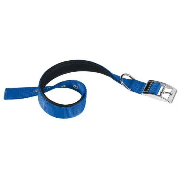 Collar para Perros FERPLAST Daytona C30 55 Azul: Comodidad y Estilo