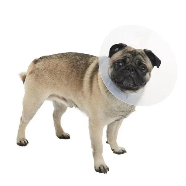 COLLAR ISABELINO BRAQUICEFALICO  S 10UDS KRUUSE